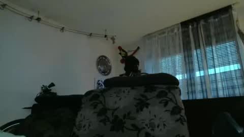 Snapshot of mad_dem0n chatting on 12-17-24, 03:39 Manuel online show from 12-17-24, 03:39