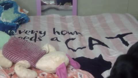 maferchavez88 online show from 02-09-26, 02:15