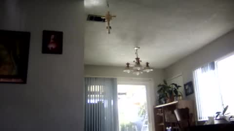 magdalena_805 online show from 02-07-25, 09:48