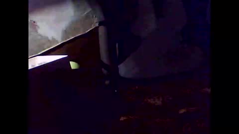 romantic online show from 11-02-25, 07:33