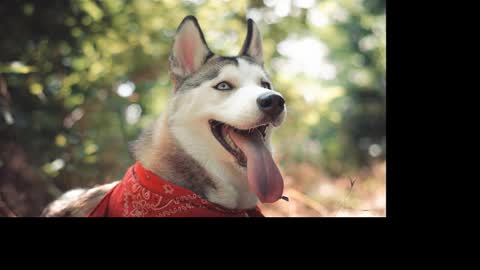 magic_katarina_ online show from 01-25-25, 08:31