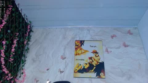 maicoljorda1 online show from 11-13-25, 12:48