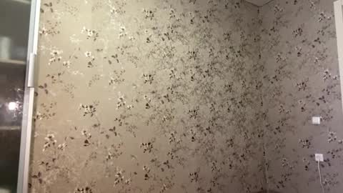 DIna online show from 04-09-26, 02:11