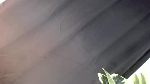 majesticcock_kyla online show from 10-22-25, 12:16