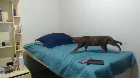 MAKENNAA online show from 03-12-25, 09:12