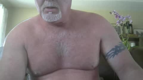 Snapshot of makinit0808 chatting on 05-21-26, 08:49 makinit0808 online show from 05-21-26, 08:49