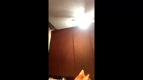 Snapshot of makinziirain chatting on 02-21-26, 12:11 KarizmaticKitten online show from 02-21-26, 12:11