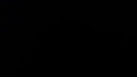 Alice Asylum online show from 11-17-25, 11:32