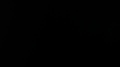 Alice Asylum online show from 04-19-26, 09:28