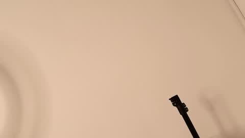 Lory  online show from 04-12-26, 06:57