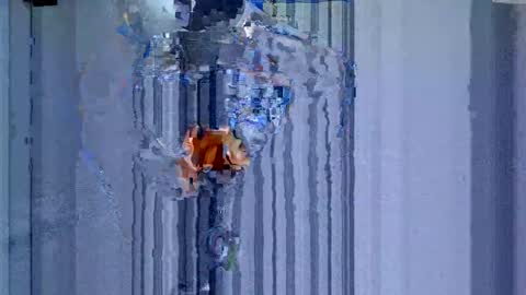 maluma1981 online show from 12-22-24, 01:34