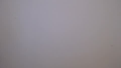 maluma4you online show from 04-06-26, 01:14