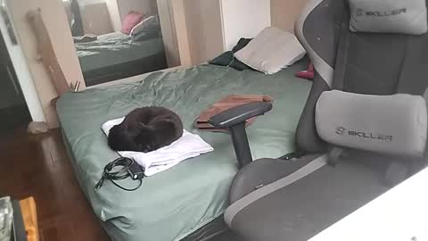 Snapshot of mandymel chatting on 02-21-25, 12:50 Muw online show from 02-21-25, 12:50