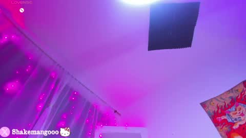 Snapshot of mangoshake_ chatting on 04-26-26, 02:09 Manguito online show from 04-26-26, 02:09