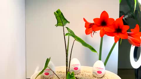 manup1977 online show from 12-16-25, 12:48