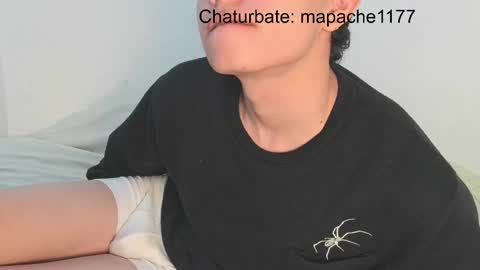 Snapshot of mapache1177 chatting on 05-19-26, 03:18 mapache1177 online show from 05-19-26, 03:18