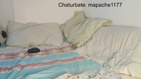 Snapshot of mapache1177 chatting on 05-21-26, 06:59 mapache1177 online show from 05-21-26, 06:59