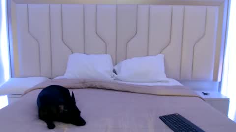 Snapshot of mara_sex chatting on 06-11-26, 11:08 pao online show from 06-11-26, 11:08