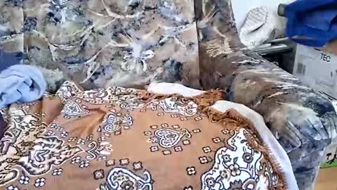 marian20242025 online show from 03-11-26, 08:53