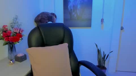 Snapshot of marianalopez81 chatting on 03-02-25, 01:04 Mariana Lopez online show from 03-02-25, 01:04