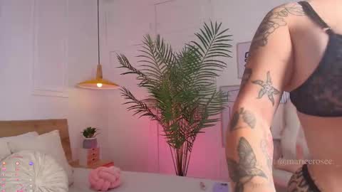 Snapshot of mariee_rosee chatting on 05-24-26, 01:32 Mary online show from 05-24-26, 01:32