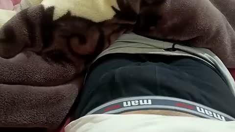 Snapshot of marocreda33 chatting on 01-30-25, 08:53 marocreda33 online show from 01-30-25, 08:53