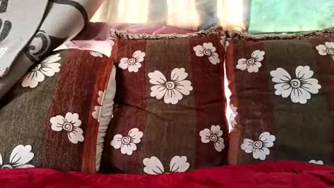 Snapshot of marocreda33 chatting on 02-10-25, 10:20 marocreda33 online show from 02-10-25, 10:20