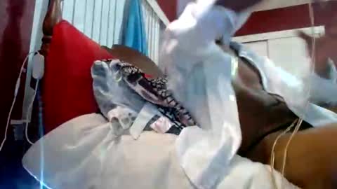 Reparations for the departed online show from 10-18-25, 06:58