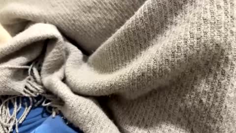 marriedthickdick37 online show from 01-12-25, 10:12