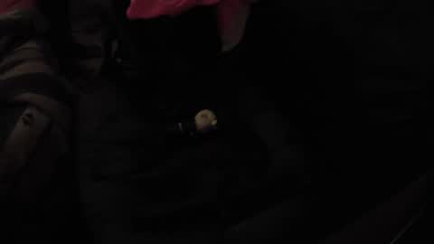 martamoontrans online show from 11-17-25, 10:32