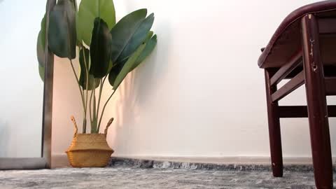 marthina thompson online show from 12-24-24, 04:08