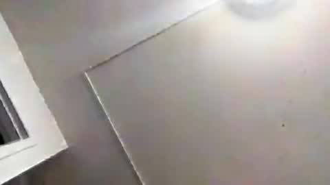 marty74841 online show from 07-14-26, 05:01