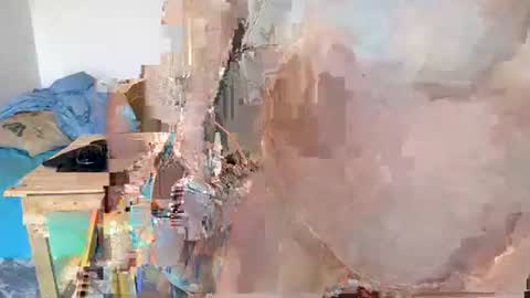 Moose online show from 01-21-25, 09:13