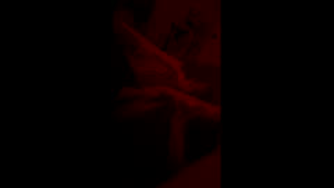 mas62491 online show from 11-19-25, 10:59