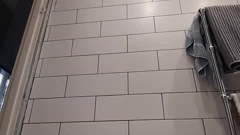 Snapshot of masterclass69er chatting on 10-14-25, 08:15 Bob online show from 10-14-25, 08:15