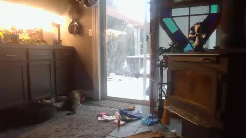 Snapshot of masterdurt chatting on 02-15-25, 02:22 The Big Duurty online show from 02-15-25, 02:22