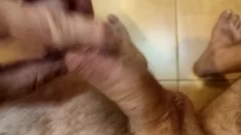 Chriss online show from 10-16-25, 03:13