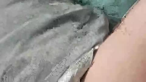 Snapshot of mathisdavid6757 chatting on 11-22-25, 01:32 mathisdavid6757 online show from 11-22-25, 01:32