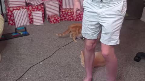 Matt Cash online show from 12-26-24, 02:12