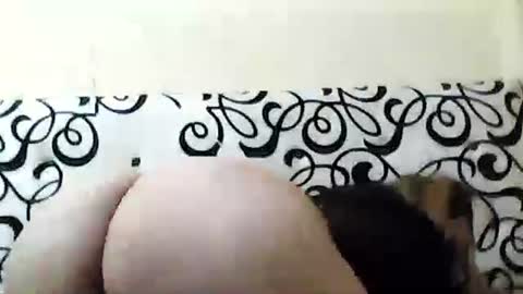 Snapshot of mature_sweet3827 chatting on 12-06-24, 05:53 mature_sweet3827 online show from 12-06-24, 05:53