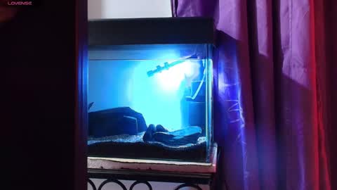 Max online show from 03-09-26, 02:04