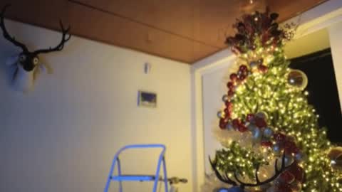 Snapshot of maximohoot chatting on 12-03-24, 11:57 Sebastian online show from 12-03-24, 11:57