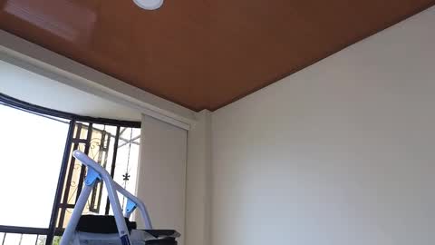 Snapshot of maximohoot chatting on 12-30-24, 07:32 Sebastian online show from 12-30-24, 07:32