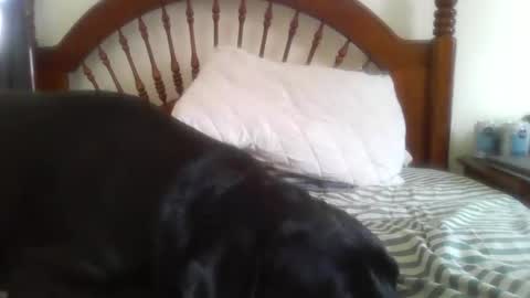 Davis online show from 02-14-26, 08:16