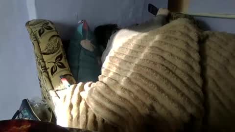 Oltereodora-lima online show from 01-10-25, 08:40