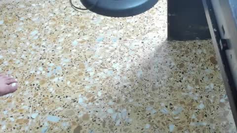 Megan online show from 02-01-25, 06:00