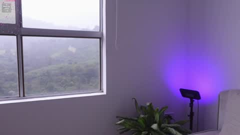 meiis3 online show from 01-09-25, 09:05