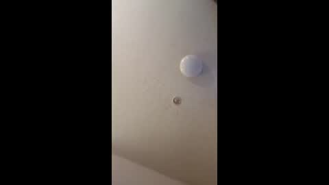 mel_hart_jr online show from 05-18-26, 07:09