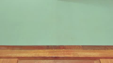 Melania online show from 03-01-25, 12:34