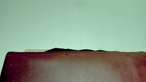 Melania online show from 11-06-25, 03:51